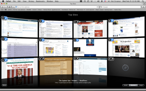My new Safari 4 Homepage -- too much information?  It saves all my top sites and presents them in this view